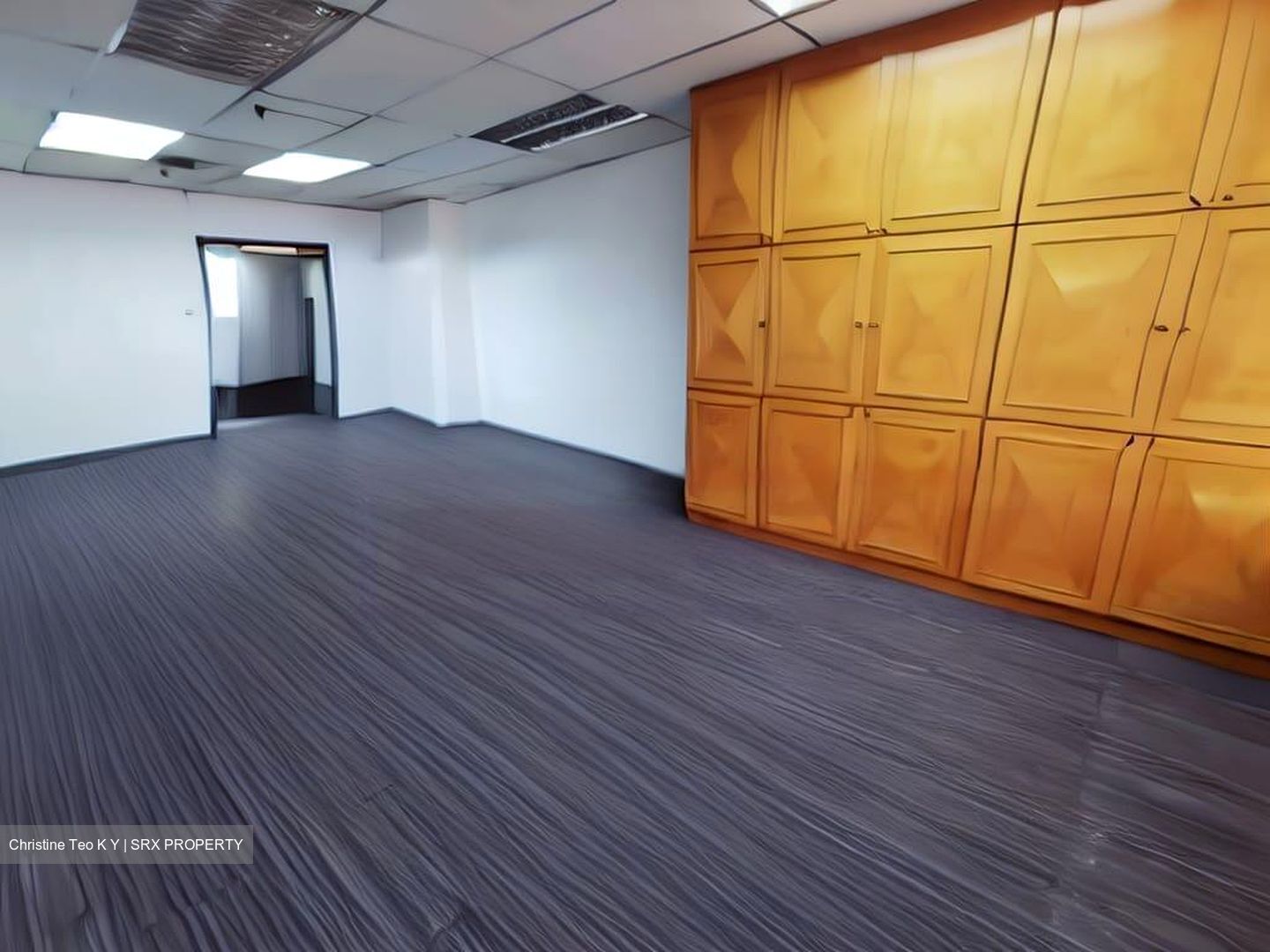 The Plaza (D7), Office #485735811